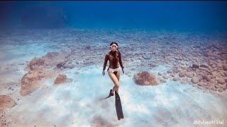 【FiDive】Freediving to Celebrate for the Double 10th Day at -12M in Ponso no Tao