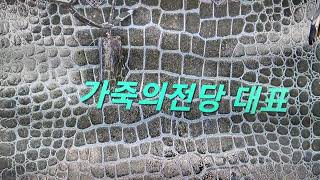 고급 기술 에나멜 가죽 복원 #가죽의전당 #diy #leathercraft #명품 #복원