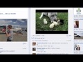 FB Post Magic Capture Page Video Review