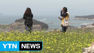 '가고싶은 섬' 청산도에 퍼지는 봄기운 / YTN