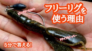 【5分で答える！】フリーリグを使う理由【琵琶湖バス釣り】