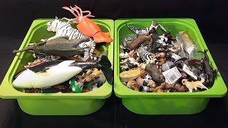 Boxes of Rare Sea Animals \u0026 Animals Figures