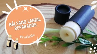 Balsamo Labial Reparador I Luce labios hidratados y suaves