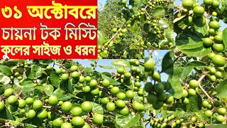 ৩১ অক্টোবরে চায়না টক মিস্টি কুলের সাইজ ও ধরন/০১৭৩৫-৩৩৮১৭১/কুল পরিচর্যার বিস্তারিত ডেসক্রিপশনে/