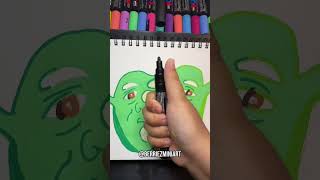 Drawing Shrek In Adri Artsys Split Effect With Posca Markers! Satisfying Art #shorts