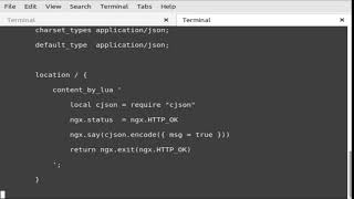 Programming {{ nginx embedded lua }} json boolean api