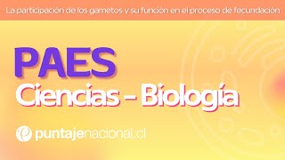 PAES | Biología |  La participación de los gametos y su función en el proceso de fecundación