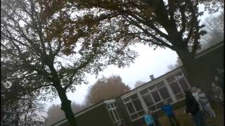 Waarom vallen de blaadjes van de bomen in de herfst?