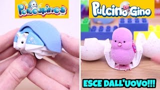 PORCOSPINOS e PULCINO GINO: nuovi LITTLE LIVE PETS Giochi Preziosi