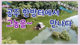 딸바보낚시꾼의 붕어낚시!! 공주 한방터에서 그놈을 만나다~ #유계지 #오짜터 #배스터 #배수