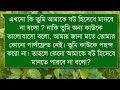 ভাবি যখন বউ a romantic love story your feelings voice ashik u0026 priyanka