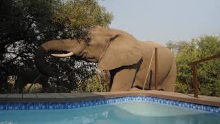 Old Drift Lodge, Victoria Falls, Zimbabwe