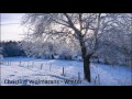 Christine Wolmarans - Winter