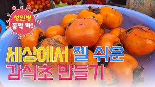 성인병 꼼짝 마! 세상에서 젤 쉬운 감식초 만들기