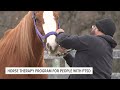 equine assisted psychotherapy program at leg up farm helps local veterans suffering from ptsd