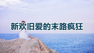 【危情实录】新欢旧爱的末路疯狂