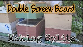 Double Screen Board For Splitting Honey Bee Colonies