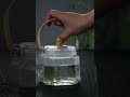 Japanese Water Steam Glass Teapot