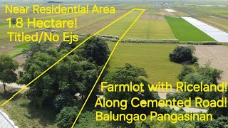 #vlog #622 Farmlot w/ irrigated riceland good for residential farmlot in Balungao Pangasinan 1.8has!