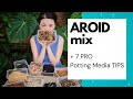 PART 2: AROID MIX RECIPE + 7 PRO Potting Media Tips to make your plants HAPPY! (ft. Plant Guru 'J')