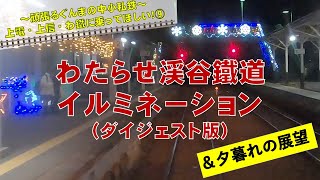 頑張るぐんまの中小私鉄「わたらせ渓谷鐵道イルミネーション」｜交通政策課｜群馬県