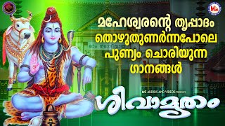 സുപ്രഭാതത്തിൽ മഹേശ്വരൻ്റെ തൃപ്പാദം തൊഴുതുണർന്നപോലെ പുണ്യം ചൊരിയുന്നഗാനങ്ങൾ|ശിവാമൃതം|Lord Siva Songs