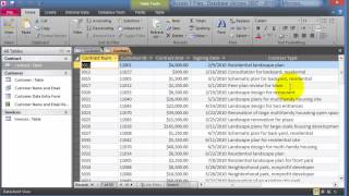 Access 2010: Understanding the basic database components