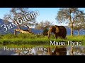 Mana Pools Safari / Путешествие в Мана Пулс