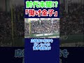 「働け！働け！金子」が発動した瞬間 2023年6月撮影