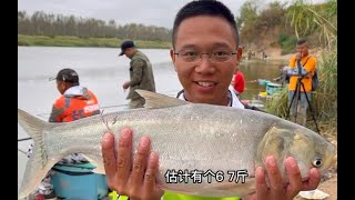 湖北一夜之间：气温骤降20度！野钓鲢鳙，这么低的温度能上鱼吗？