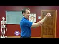 McKenzie Method for Elbow Pain #3 - Elbow Flick