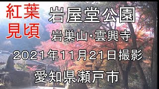 紅葉　岩屋堂公園　岩巣山　還暦夫婦ナオユミのハイキングへ行こう