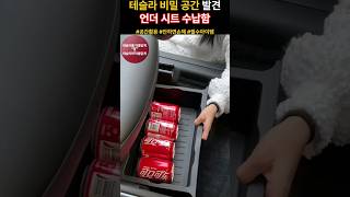 테슬라 숨겨진 공간! 언더시트를 활용하기 좋은 테슬라 추천템!