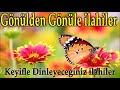 🔶Gönülden Gönüle İlahiler🔶Keyifle Dinleyeceğiniz İlahiler🔶Güzel Karışık İlahiler Dinle🔶