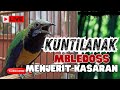 MASTERAN NGERET MENJERIT KASAR!! CUNGKOK FULL TEMBAKAN MEWAH - NGEBREN PANJANG TEMBAKAN KUNTI