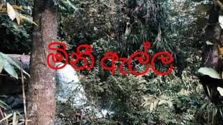 මිනී ඇල්ල අයගම