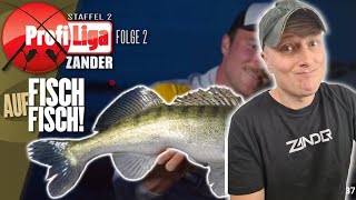 Profi-Liga ZANDER: Folge 2 - Der erste Abend! Wer holt die Big Points? | Sebastian Hänel reagiert