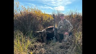 Episode 752: .243’s, 6.5 Creeds and A Lower 48 Moose Hunt