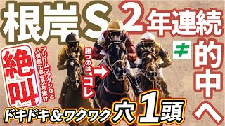 根岸Ｓ 2025【穴馬/予想】フリームファクシに不安あり！ならばＧ１での活躍も見据えられる「あの☆馬」で勝負！