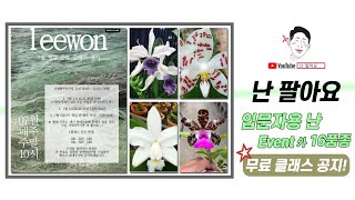 입문자용 난 Event 외16품종                   무료 클래스  공지!                                      난알아요  6월 26일