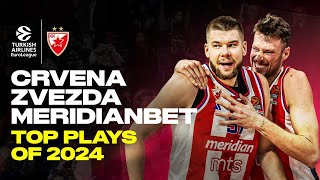 TOP 45 Plays 2024 | Crvena Zvezda mts Belgrade