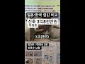 부동산 도쿄 3억8천 신축 아파트 가격 집값