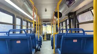 Squealing Along With BC Transit Gillig Low Floor #703 (No HVAC)