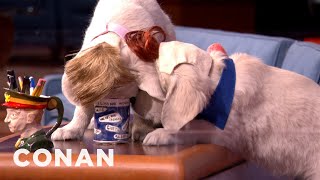 Puppy Conan Returns: Flavor Flav Edition | CONAN on TBS