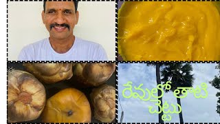 రేవులో తాటి చెట్టు