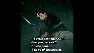 все понели что насок самое важное🤣🤣а для вас что самое важное 🤔нопиши в коментах😊