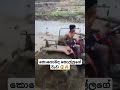 කොහොමද කොල්ලගේ වැඩ 🔥😱 truck srilanka trending bus automobile driver 1millon shortsfeed