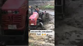 කොහොමද කොල්ලගේ වැඩ  🔥😱 || #truck #srilanka #trending #bus #automobile #driver #1millon #shortsfeed