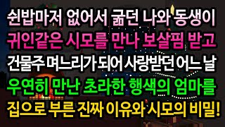 [실화사연] 엄마에게 버림 받은 내가 건물주 며느리가 된 이유 / 유튜브드라마/ 사연낭독