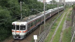 JR東海313系3000番台.1100番台(R101+J3) 新快速豊橋行き　東海道本線逢妻〜大府